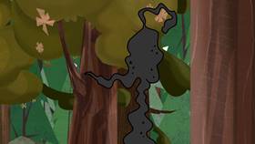 Screenshots from the 2020 Universal 1440 Entertainment cartoon Nature Nuts