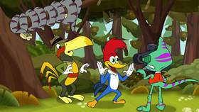 Screenshots from the 2020 Universal 1440 Entertainment cartoon Nature Nuts