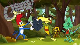 Screenshots from the 2020 Universal 1440 Entertainment cartoon Nature Nuts