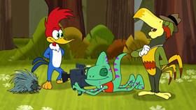 Screenshots from the 2020 Universal 1440 Entertainment cartoon Nature Nuts