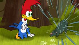 Screenshots from the 2020 Universal 1440 Entertainment cartoon Nature Nuts