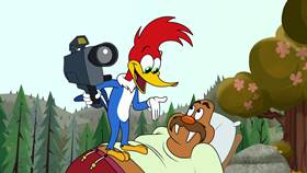 Screenshots from the 2020 Universal 1440 Entertainment cartoon Nature Nuts