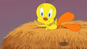 Screenshots from the 2021 Warner Bros. Television cartoon Sylvester Car Jack Lift