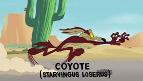 Screenshots from the 2021 Warner Bros. Television cartoon Swoop De Doo!