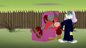 Screenshots from the 2021 Warner Bros. Television cartoon Sam-merica