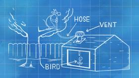 Screenshots from the 2021 Warner Bros. Television cartoon Happy Birdy to You