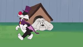 Screenshots from the 2021 Warner Bros. Television cartoon Happy Birdy to You