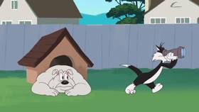 Screenshots from the 2021 Warner Bros. Television cartoon Happy Birdy to You