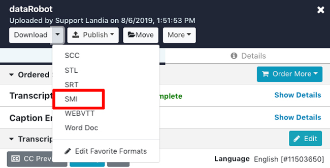 Download SMI caption format for WMV