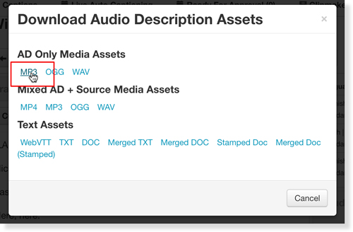 Cursor hovering over MP3 in the audio description download menu