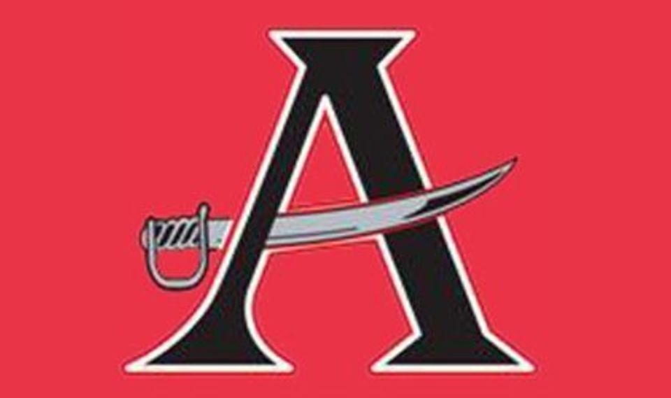 All Pro Dad Chapters