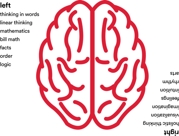 brain culture