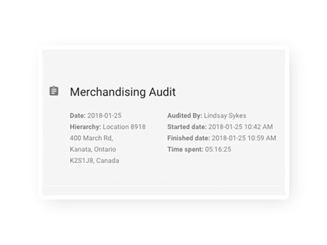 Merchandising Audit Intouchcheck