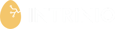 Intrinio Logo