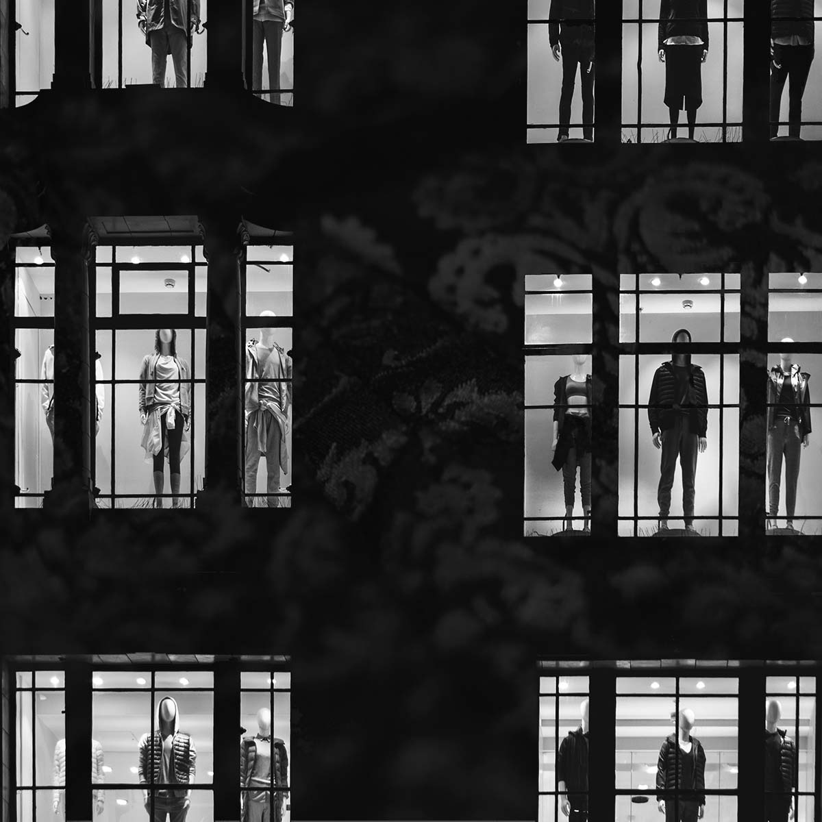 Laboratorio: sujetos sin identidad