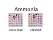 Chemical Sensing Nose