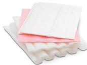 Biodegradable Anti-Static Foam