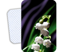 Scent label with applicator inside for fine fragrance on-skin trial