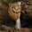 Land snail