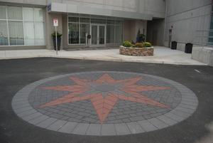 Medium_sp_commercial_boston_marine_star