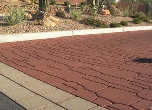 Medium_sp_random_sonoranpreserveinorovalleyaz_-_copy