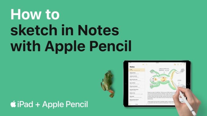iPad and iPad Pro — How to sketch in Notes with Apple Pencil — Apple