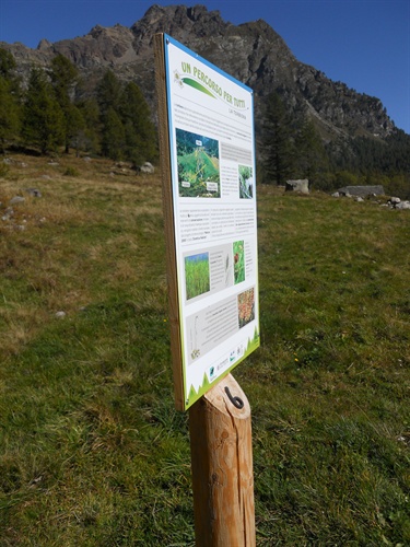 RFID al Parco Naturale Veglia Devero, Softwork