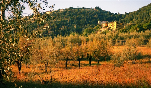 Fiesole