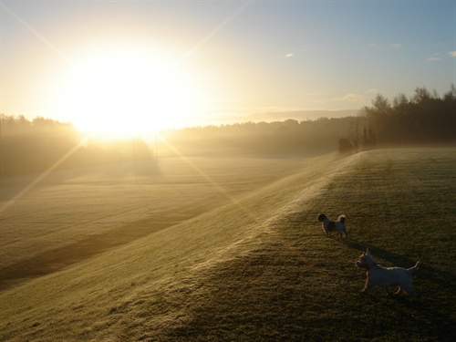 Fig. 8 - Norwich - Credit: Richard Collins