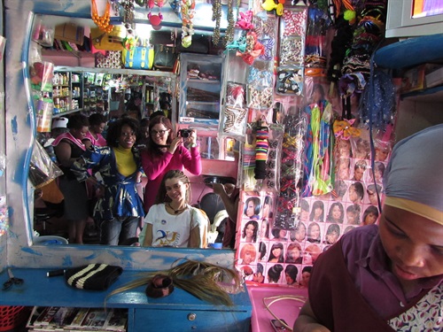 Paolucci Alessandra: Charity Work Program