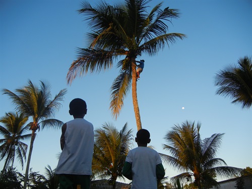 Perletti Rossella: Charity Work Program Brasile