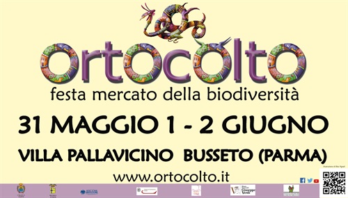 6 x 3 definitivo copy.jpg