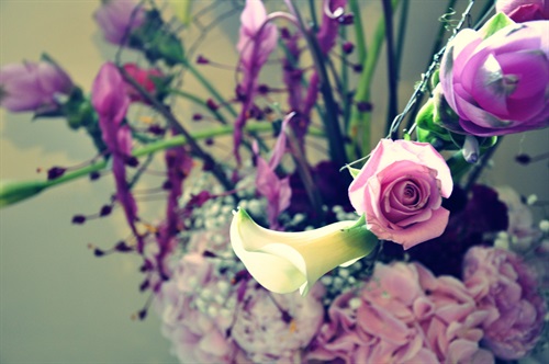 credits Carlo Mirante