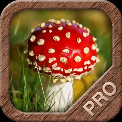 Mushrooms PRO - € 9,99