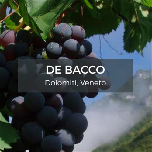 De Bacco