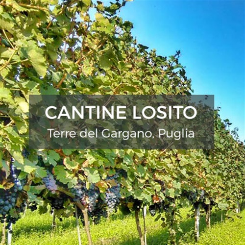 Cantine Losito