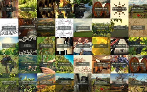 I piccoli produttori di vino sbarcano su Tannico.it 