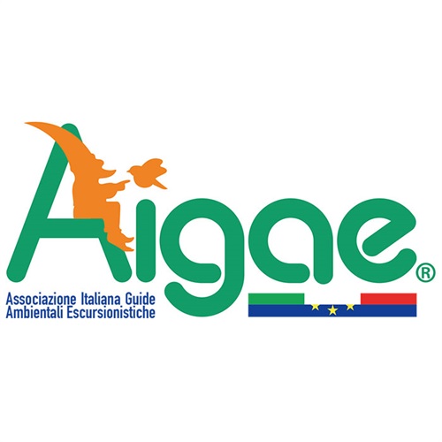 Il nuovo logo di AIGAE