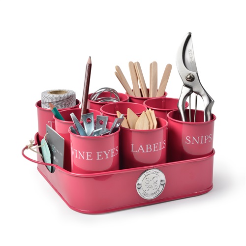 Vassoio Lampone per attrezzi