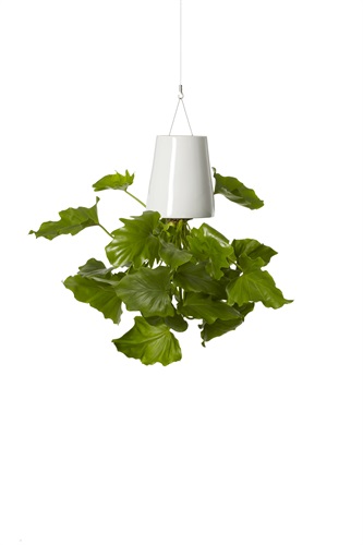 Vaso piccolo di ceramica bianca