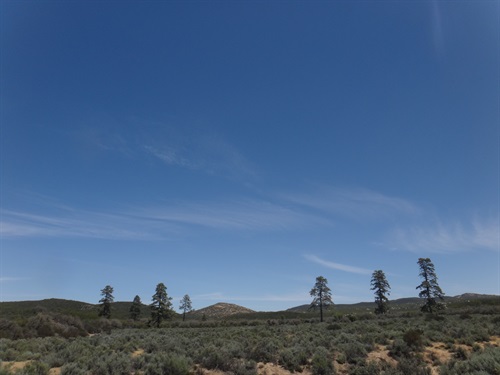 Latest event: A Journey in Kumiai Life