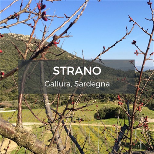 Strano