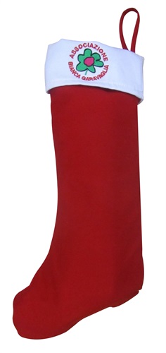 Calza della Befana_Associazione Bianca Garavaglia Onlus - Copia.jpg