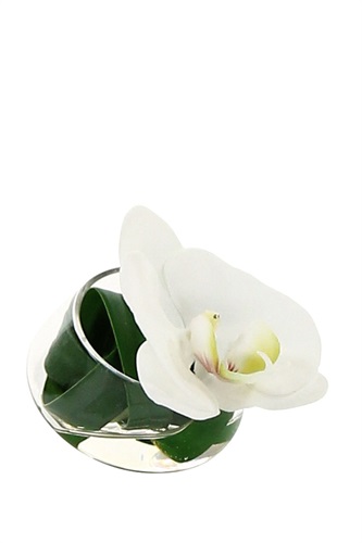 Showroomprive.it Pauline H 7,20 Euro