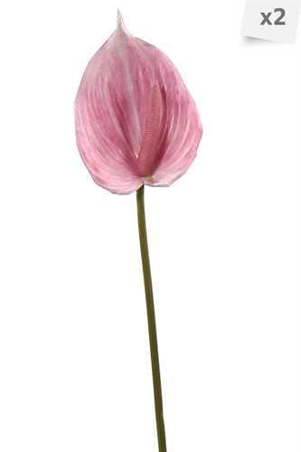 Showroomprive.it Pauline 7,90 Euro