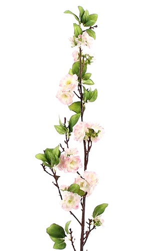 Showroomprive.it Pauline H 7,30 Euro