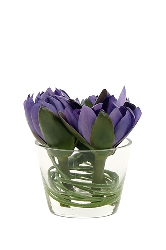 Showroomprive.it Pauline H 20 Euro