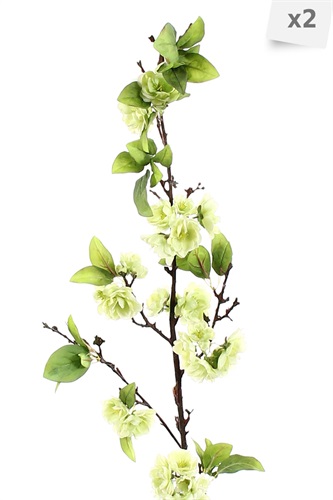 Showroomprive.it Pauline 16 Euro