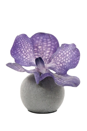 Showroomprive.it Pauline H 4,60 Euro