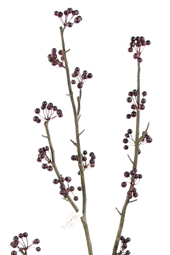 Showroomprive.it Pauline H 7 Euro